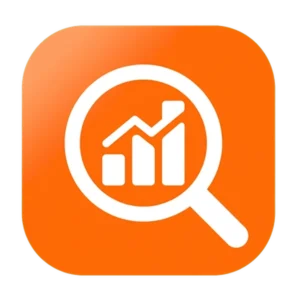 SEO & Analytics
